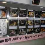 2012_12_kouhokukuyakusho 2012年12月横浜市港北区役所内で展示されている様子